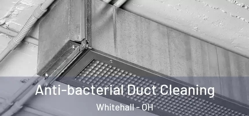  Anti-bacterial Duct Cleaning Whitehall - OH