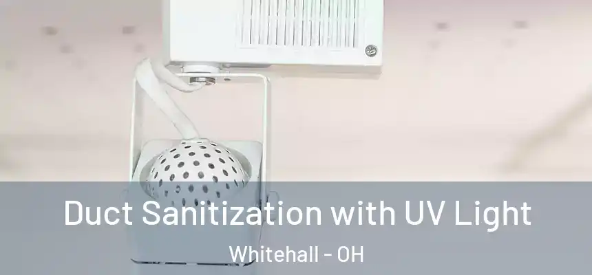 Duct Sanitization with UV Light Whitehall - OH
