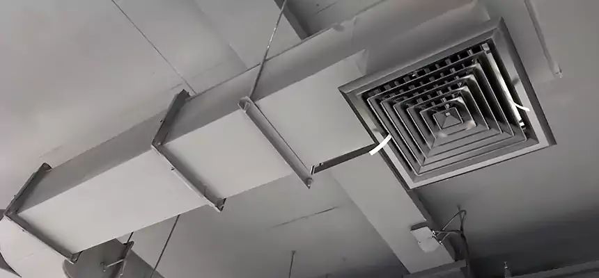 Restorative Allergy Relief Vent Cleaning – Coil, Blower & Housing Detail in Whitehall