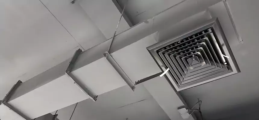 Our Rodent Droppings In Vents Services in Whitehall, OH