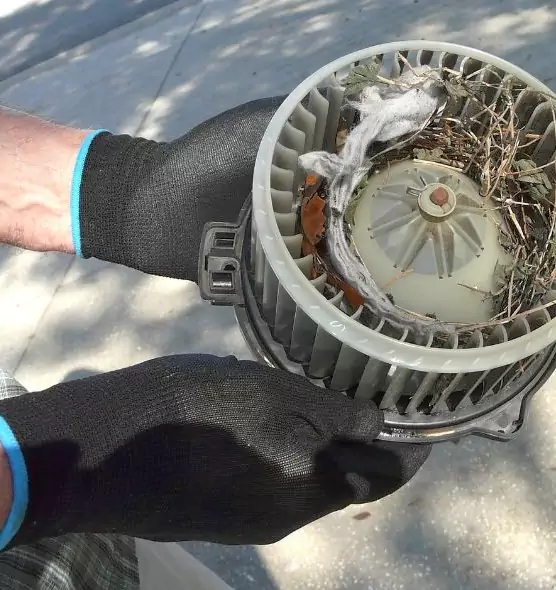 About Air Duct Mice Removal in Whitehall, OH