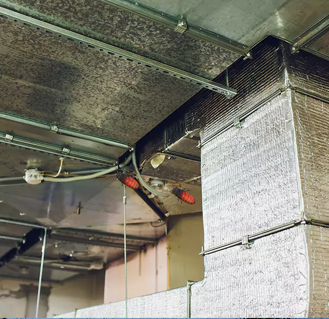 Why Homeowners & Businesses Trust Us in Whitehall, OH?