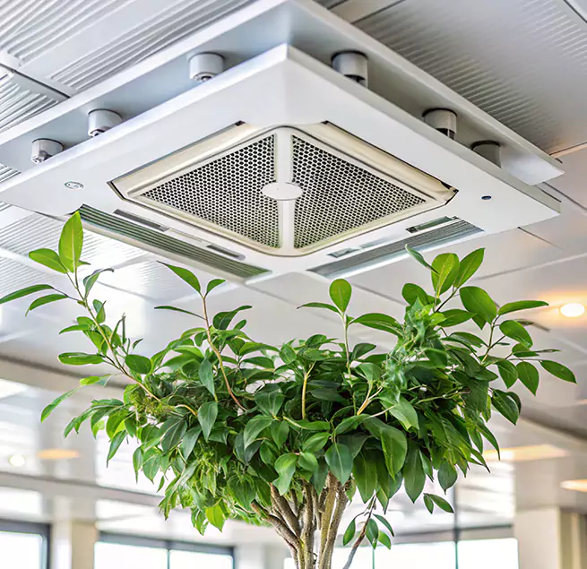 Why Homeowners & Businesses Trust Us in Whitehall, OH?